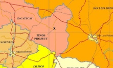 Pinos project holder Candelaria on the rise