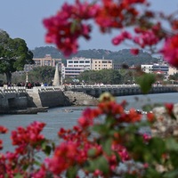 (EcoChina)CHINA-FUJIAN-QUANZHOU-MANGROVE-ECOLOGICAL PROTECTION