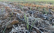 Mapping high frost risk zones on farms is being investigated in the development of a new mapping tool.
