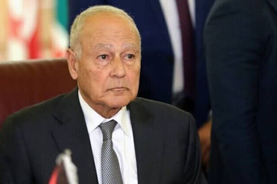 Arab League welcomes Somalia's first direct municipal elections