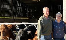 Livestock at the heart of 50-year career - "I have made a lot of really good friends through the auction markets"