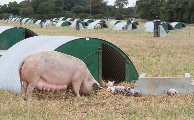 Promoting the value of outdoor pigs to future landlords
