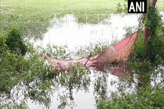 Tamil Nadu govt announces relief funds for farmers affected by crop loss due to incessant rain