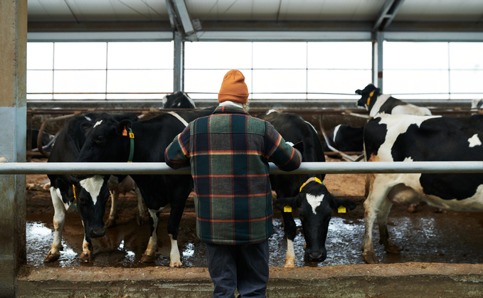 Introducing the finalists for the British Farming Awards Dairy Farmer of the Year 2025