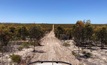  Ground between Esperance and Norseman is rapidly becoming a new REE province