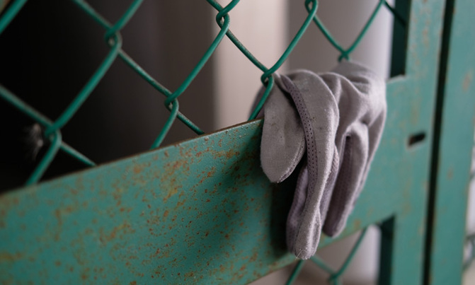 The photographer obsessed with lost gloves The photographer obsessed with lost gloves