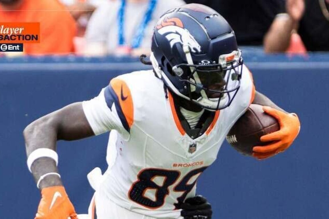 Broncos sign WR Brandon Johnson to practice squad