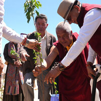 Ladakh LG Vinai Kumar Saxena launches plantation of 2100 cherry saplings at Phyang