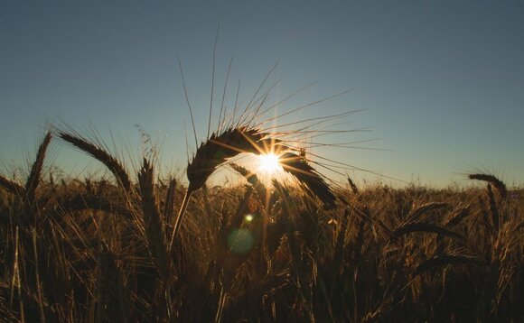 New research project to explore impact of Covid-19 on farmers' mental health
