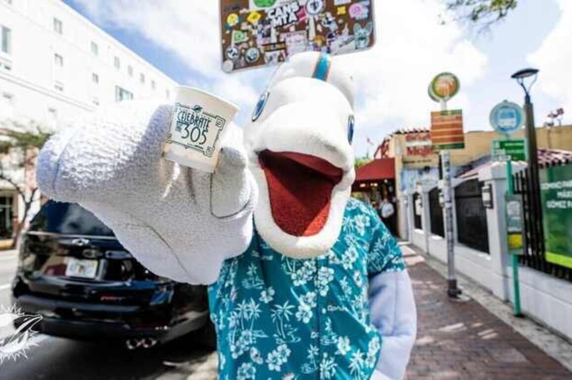 Dolphins celebrate the 305 with food, fans and Miami pride