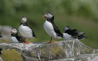 Can the government deliver its promised environmental improvements?