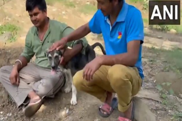 Disaster Pawtrol: Pet dog Rocky saves lives during cloudburst