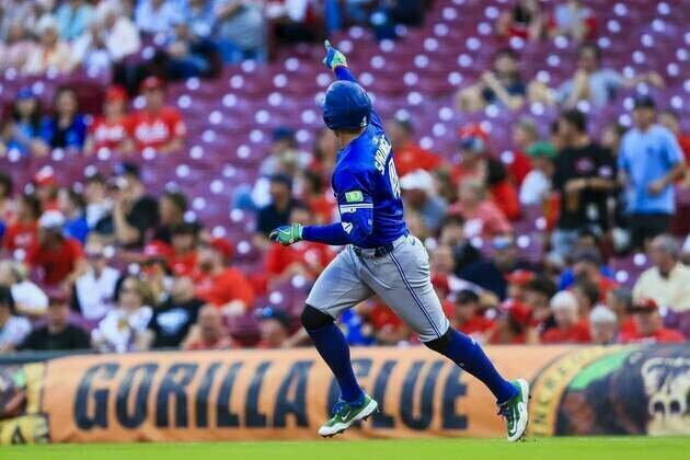 Blue Jays ride 18-hit, 5-homer attack in win over Reds