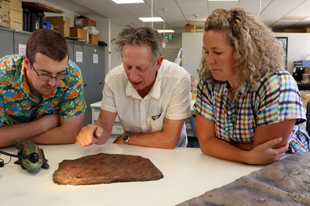 AUSTRALIA-ANCIENT FOSSIL TRACKS-REPTILE ORIGINS