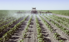 A herbicide used for cotton, turf and certain vegetable crops has been cancelled by APVMA. Credit: Balefire, Shutterstock.