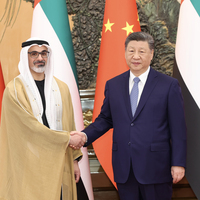 CHINA-BEIJING-XI JINPING-UAE-CROWN PRINCE OF ABU DHABI-MEETING (CN)