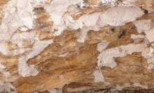 Profissionais do SGB em pesquisa de pegmatitos