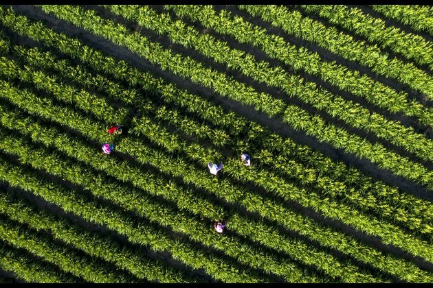 Opinion: China&#039;s poverty alleviation -- a global contribution