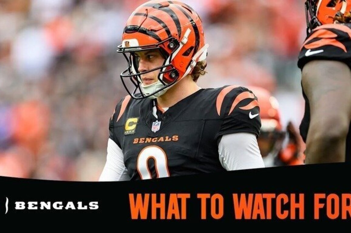 What to Watch For | Browns vs Bengals Week 18