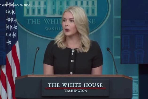 White House pressed on police staffing crisis during news conference