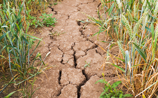 Latest climate change report urges Gov to give farmers skills to maintain production