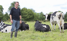 Lowering ration protein at grass  helps cows' health and environment