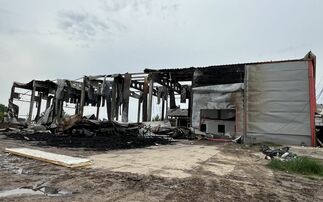 Ukrainian farms continue to be hit by Russian attacks