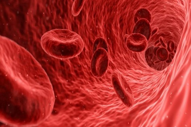 HIV vaccine efforts are undermined by off-target antibodies