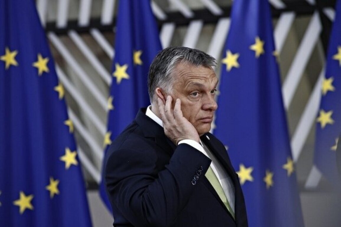 Opinion  The Institutional Afterlife of Populist Rule
