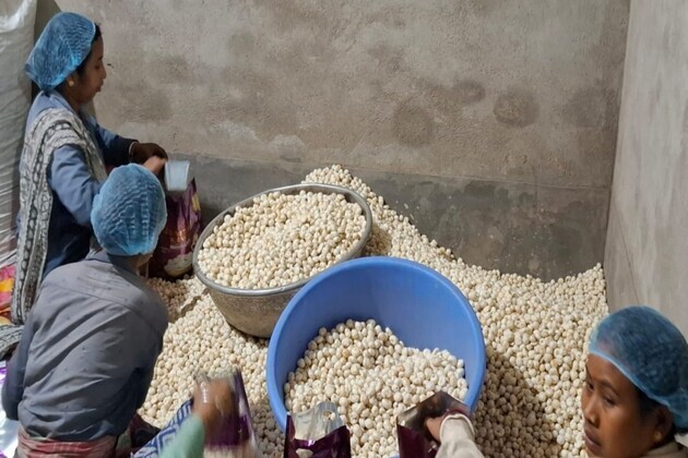 Bengal's makhana industry faces export crisis amid Israel-US vs Iran war, traders demand branding and policy support