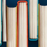 Opinion- Mississippi and Louisiana improved reading scores. We in Minnesota havent  yet.