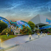 Butterfly Gardens Abu Dhabi set to open in September 2025