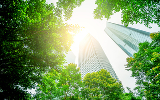'Sustainability is not dead': CEOs continue to back environmental action as means of boosting business value