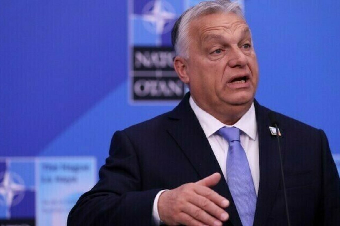 Hungary blasts Poland for dangerous Russia comment