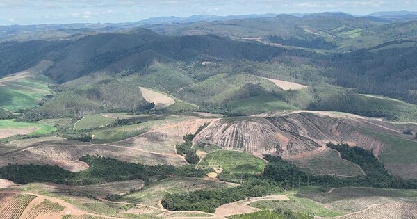 Meteoric 'excited' about rare earths processing tech potential