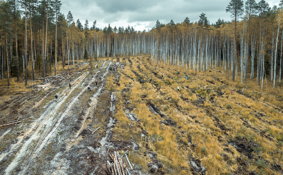 COP27: Alok Sharma urges world leaders to deliver on global forest restoration pledge