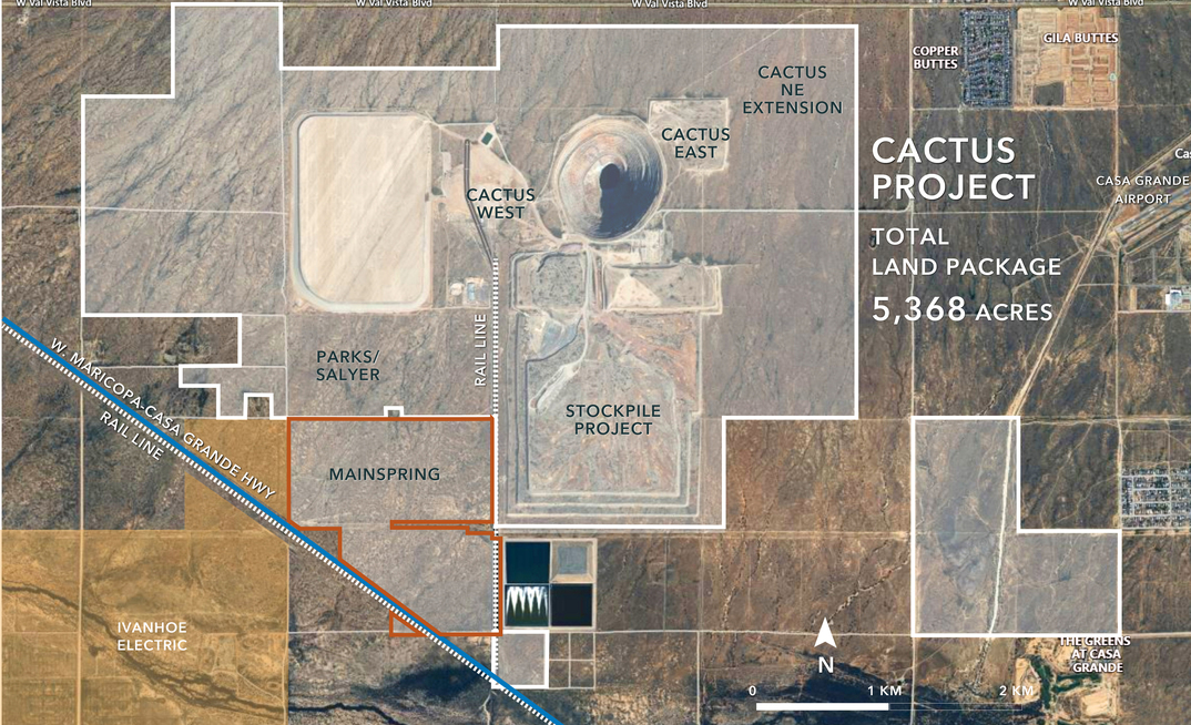 Cactus in Arizona, USA