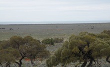  Blackbush is south ofr Whyalla in the Gawler Craton