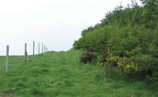 New fencing guidelines for Countryside Stewardship announced