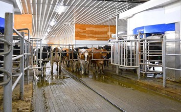 Drumgoon Dairy invests in robotic technology to further expand | Farm ...