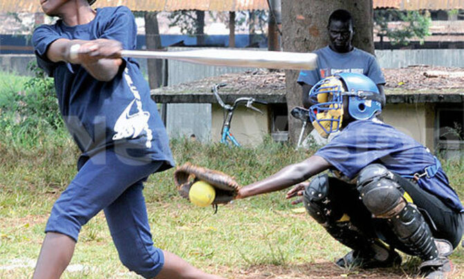 Baseball and softball association eyeing improvement Baseball and softball association eyeing improvement