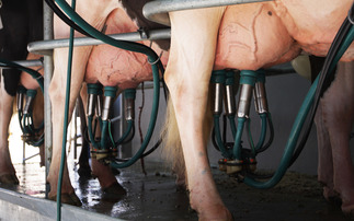 Year of boom and bust for UK dairy farms