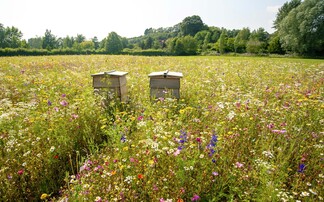 Introducing the finalists for the British Farming Awards Sustainable Farmer of the Year 2025