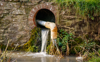 Government to reinvest £100m from water company fines to clean up rivers, lakes, and seas