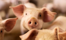 Epiris sells remaining Allflex stake for £70.3m
