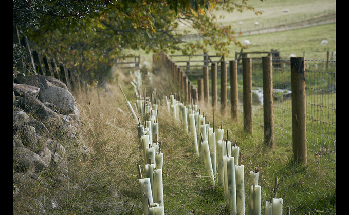 Agricultural transition has 'lurched from one crisis to another'