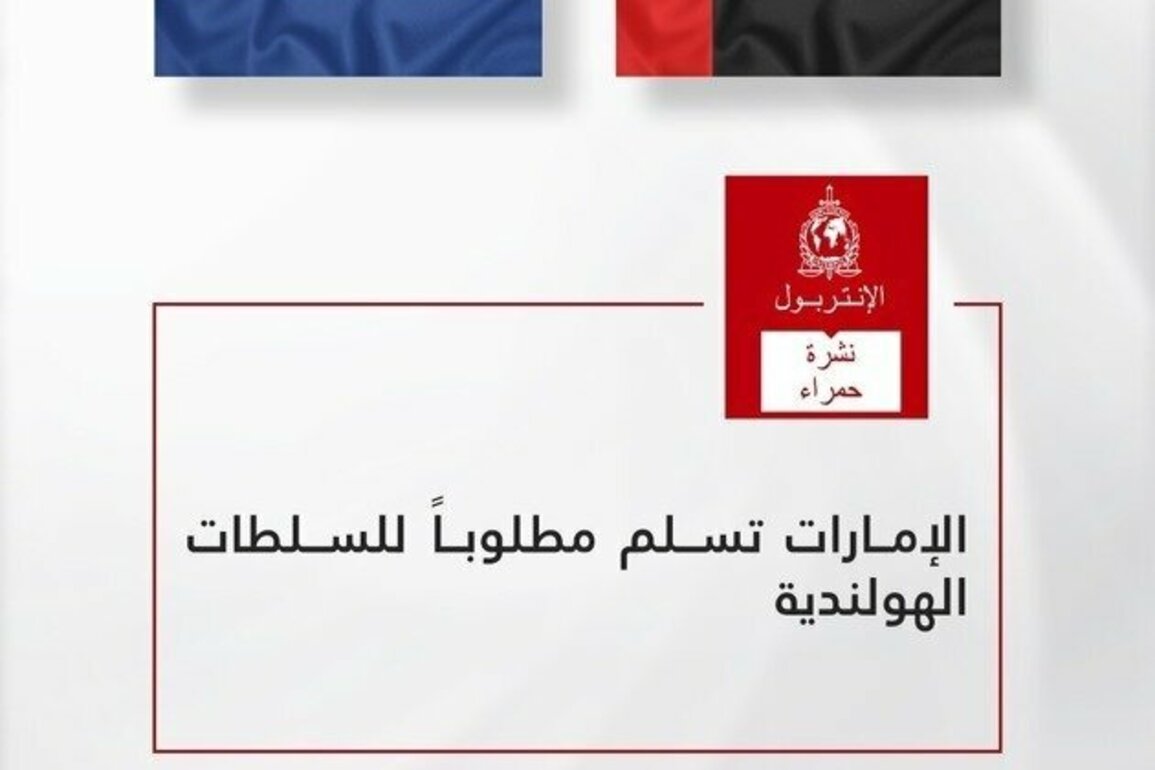 UAE hands over fugitive to Netherlands authorities