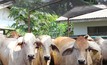 Livestock exporter system extends