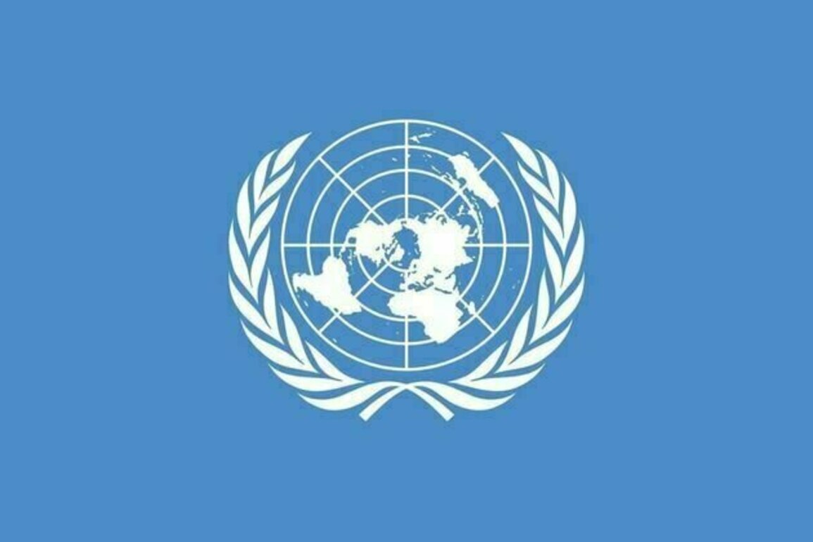 UN official urges action to address Gaza's immense needs