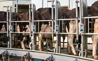 Reduce antimicrobial use through early mastitis detection this summer